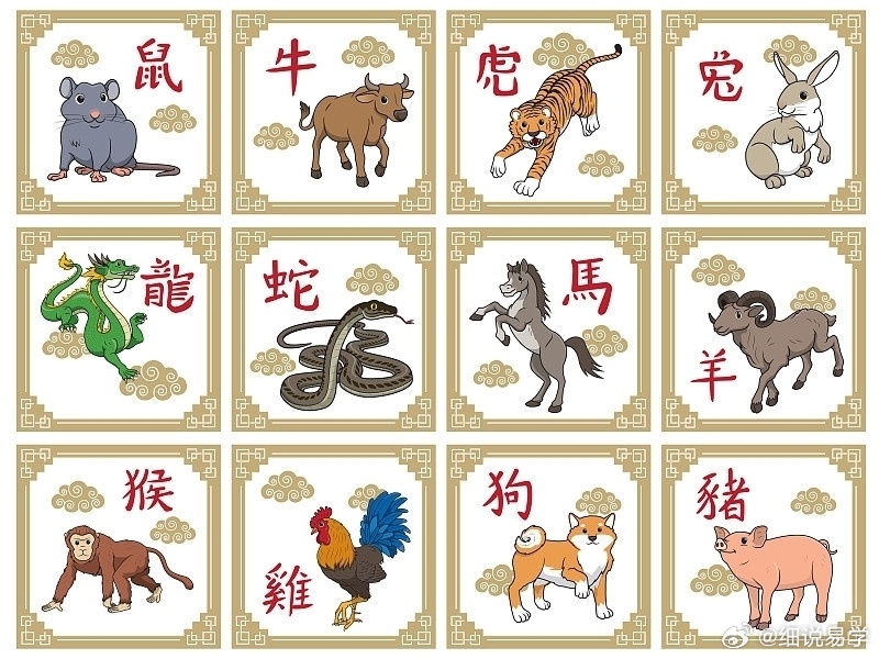 傲慢指什么生肖，经典解释作答落实