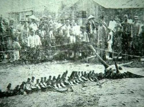 木金有钱两头找,生肖之谜的温馨解读 木金有钱两头找,生肖之谜的温馨解读