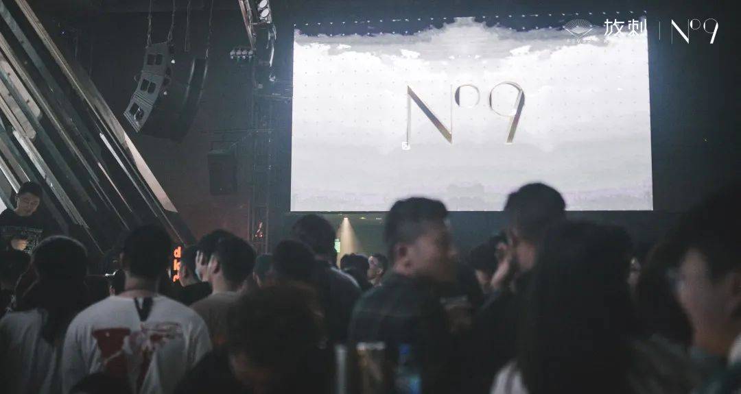 揭秘天之骄子的生肖奥秘，成就与行动的完美诠释