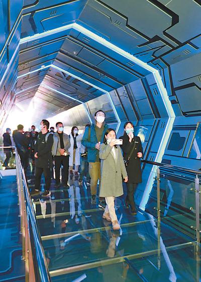 探索中国十二生肖的绘画艺术，画肖的魅力与网络解释的落实