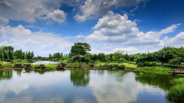 秀丽宜人,揭秘生肖之谜与精选解析的详细结果 秀丽宜人,揭秘生肖之谜与精选解析的详细结果