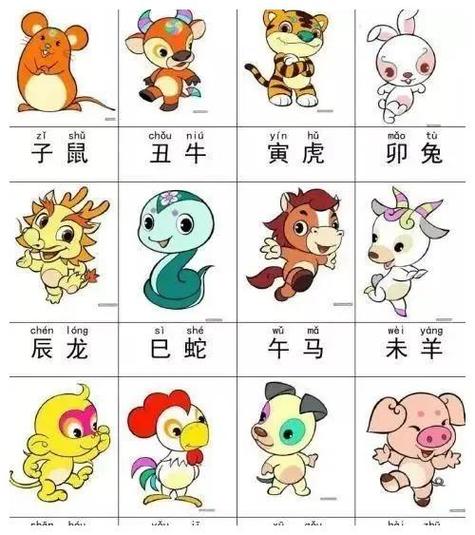 全局在胸，精准解析全局在胸猜一生肖的绝佳解释