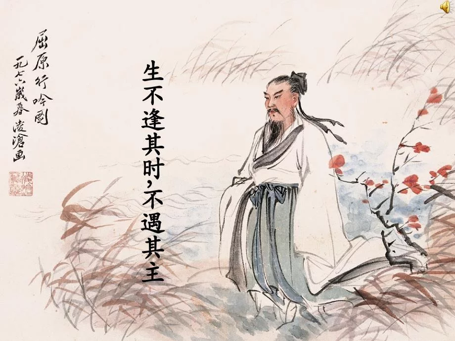 生不逢时之谜，揭秘马的寓言与现实