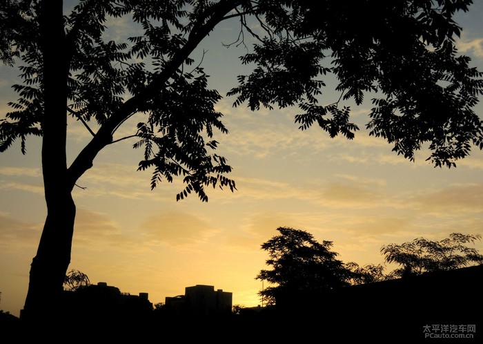 晨曦之光，揭秘看日出背后的生肖寓意与信任的力量