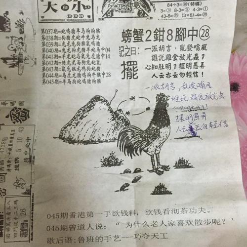 二五回头今中彩猜一动物，的动物智慧与战略运用