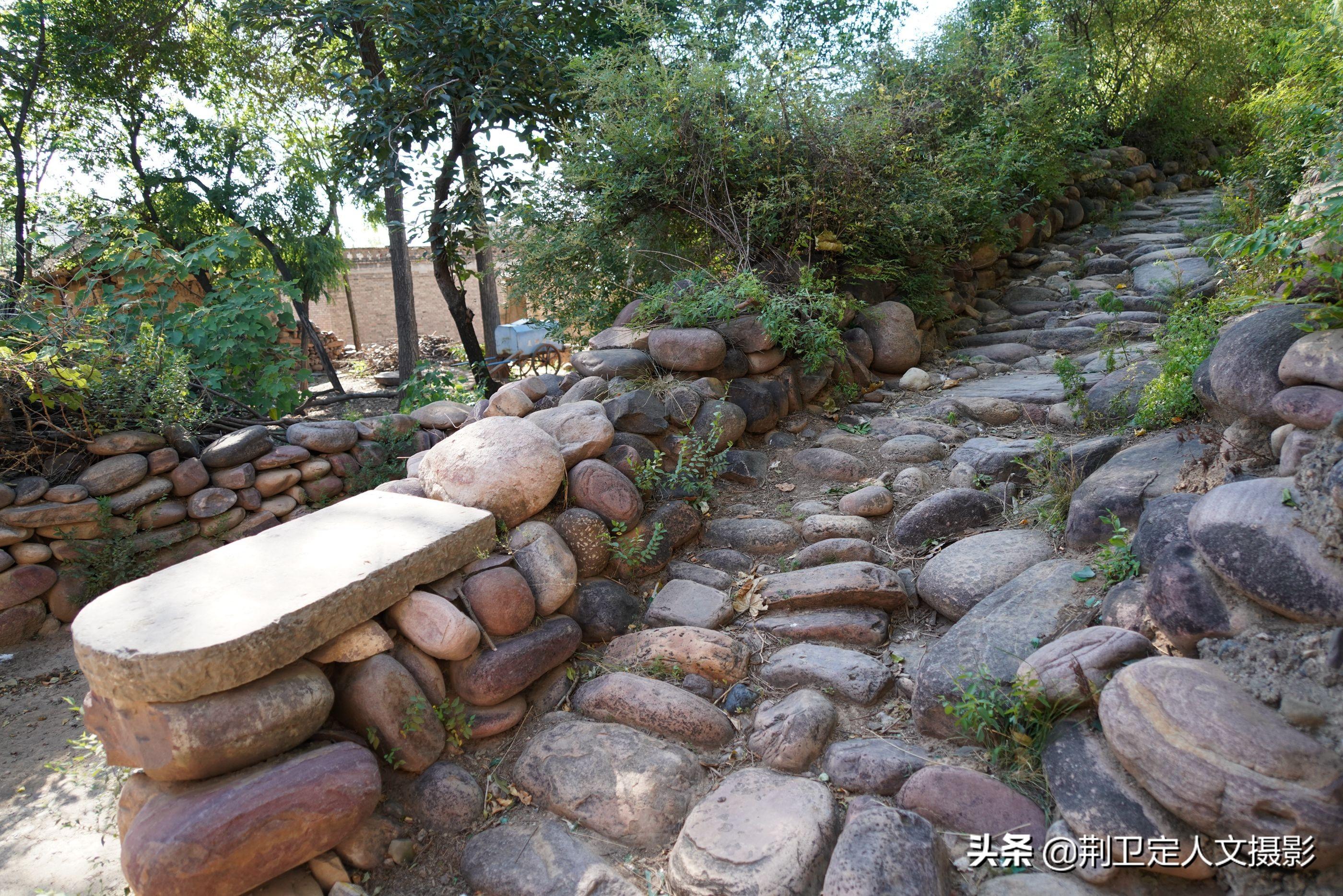 冰雪聪明是什么生肖，的社会进步与文化解析