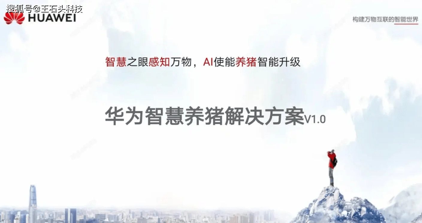 朝气蓬勃与生肖之谜，揭秘积极解释落实的智慧