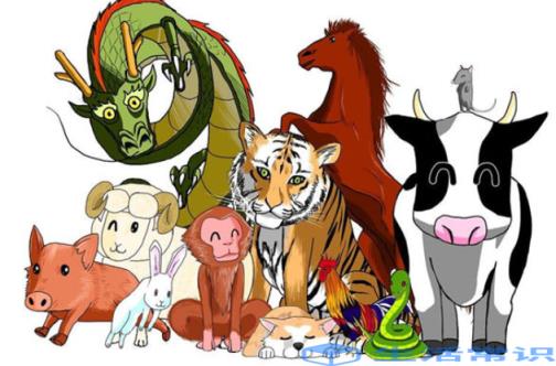 九死一生的生肖动物，鼠的坚韧与智慧