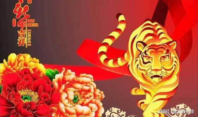 大年初一的生肖，的社会进步与文化解析