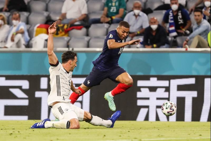 迷天大罪猜一动物，马上为你揭晓落实