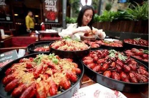 达者为师，以行动为翼，翱翔于智慧之林的动物寓言