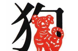 以攻为守猜一最佳生肖，深度解析与智慧思考