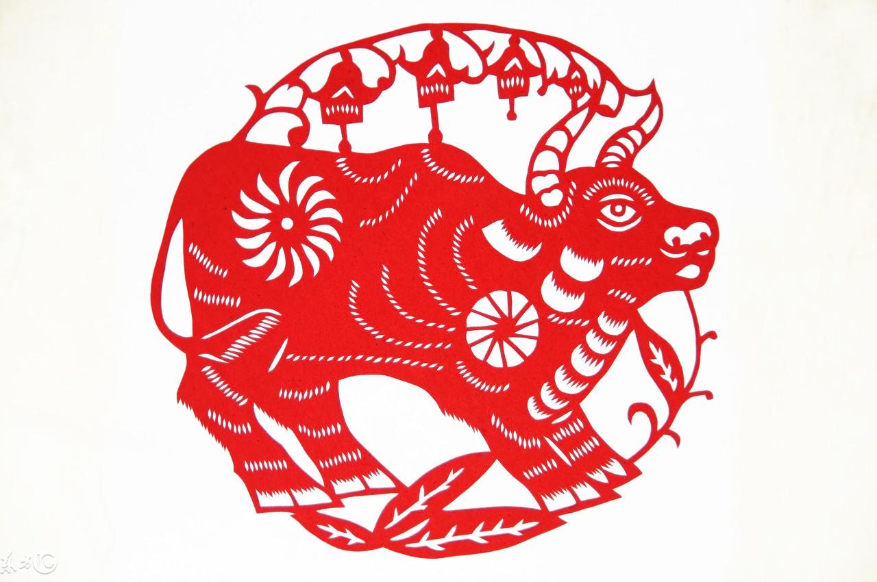 哪个生肖是小偷，传统误解与文化解读