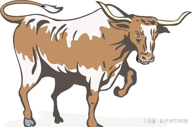 以下不为例为鉴,谈生肖动物中的落实者—属牛者的坚韧与执着 以下不为例为鉴,谈生肖动物中的落实者—属牛者的坚韧与执着