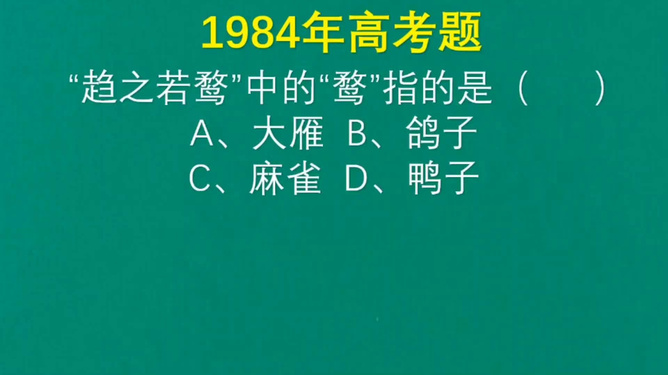 趋之若鹜,揭秘生肖中的热门之选 趋之若鹜,揭秘生肖中的热门之选