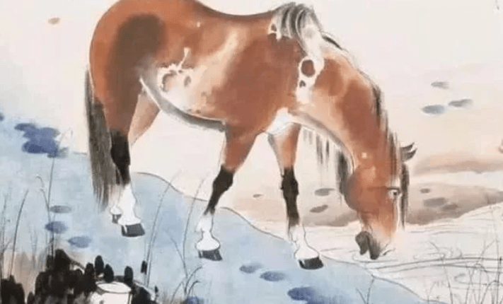 解密害群之马背后的生肖奥秘，一场智慧与寓言的碰撞