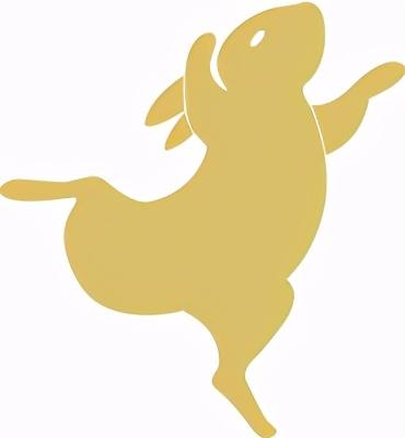 玫瑰花与生肖的奇妙联结，揭秘兔的温柔寓意