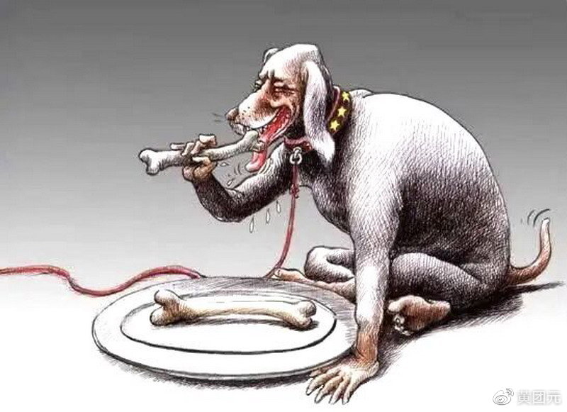 奴颜婢膝猜一动物，正确解释与落实