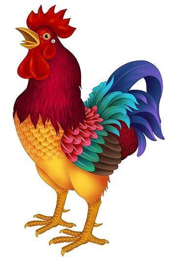 揭秘爱出风头的生肖，谜底即将揭晓