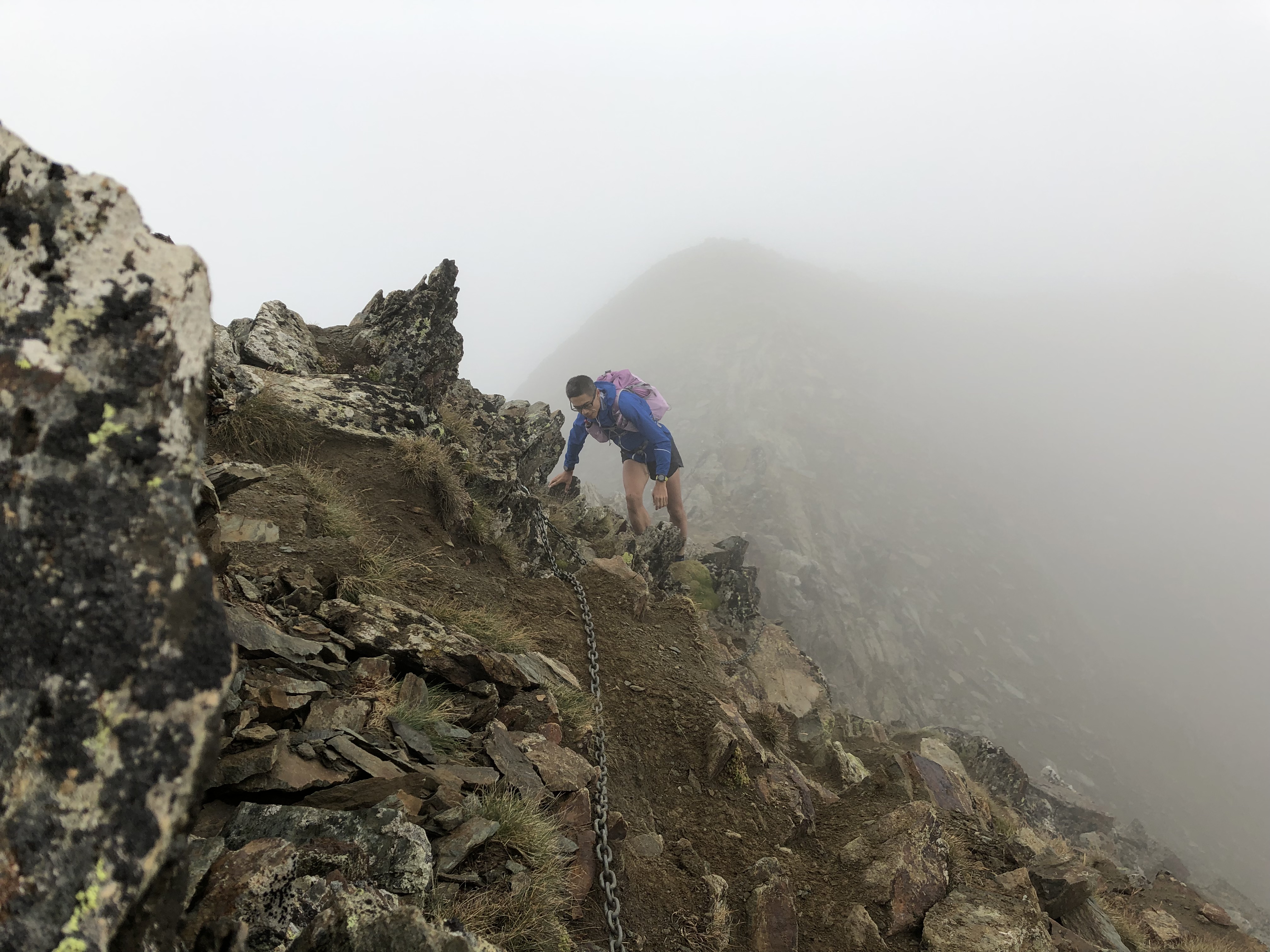 翻山越岭，生肖中的坚韧与勇气—以虎为例