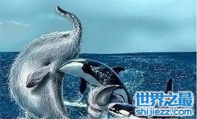 揭秘说长道短的神秘动物，从传统谜语到新型作答的深度解析