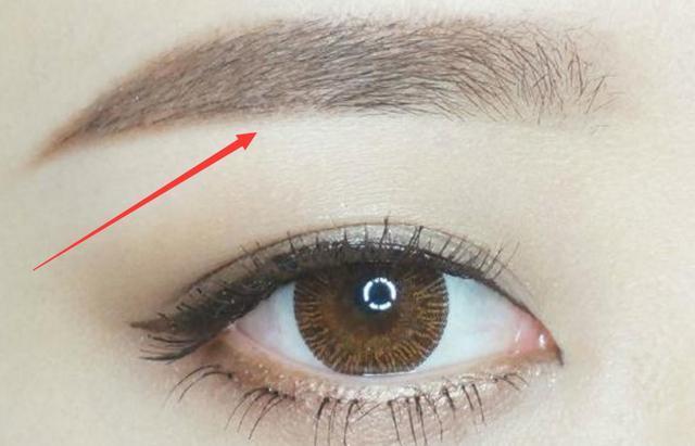 傻眉楞眼代表是指什么生肖，精选解析与落实的详细结果