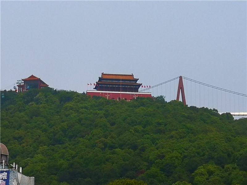 桃园结义三兄弟与生肖之谜，揭秘背后的动物寓意