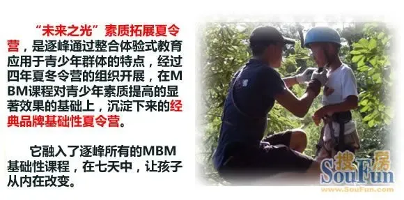 素质之光,揭秘有素质的生肖及其解答与落实的智慧 素质之光,揭秘有素质的生肖及其解答与落实的智慧