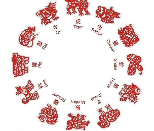探索生肖相冲的奥秘,新型作答下的科学解析与实际影响 探索生肖相冲的奥秘,新型作答下的科学解析与实际影响