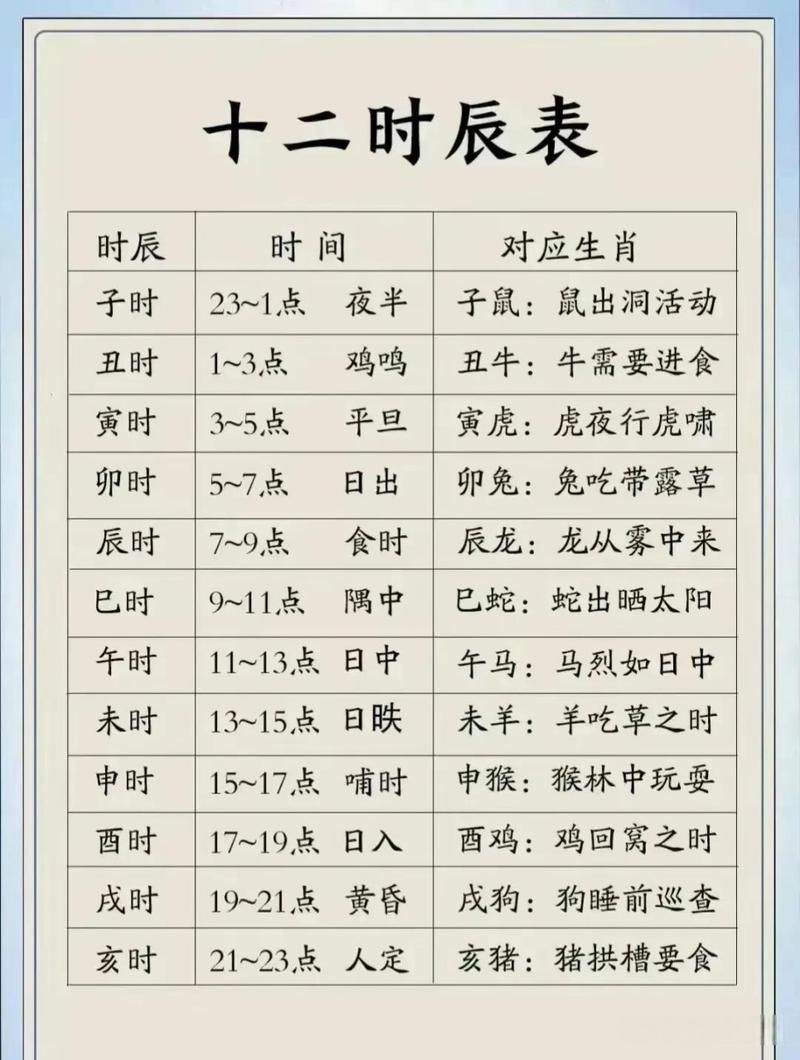 十二时辰与十二生肖，热议解释落实