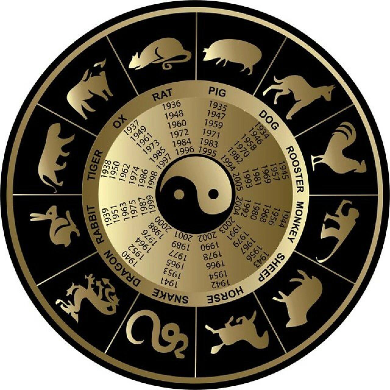 揭秘别树一帜背后的生肖奥秘,属猴者的独特风采 揭秘别树一帜背后的生肖奥秘,属猴者的独特风采