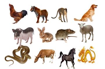 扮猪吃虎,生肖中的智慧与策略 扮猪吃虎,生肖中的智慧与策略