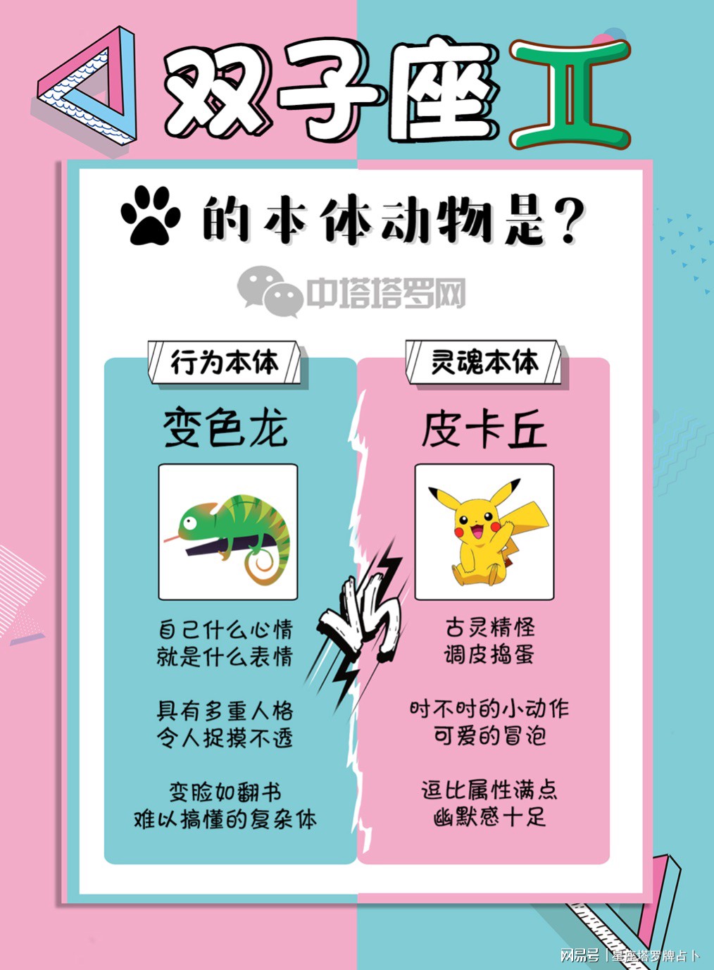 耍两面派指的猜一动物，揭秘背后的文化寓意