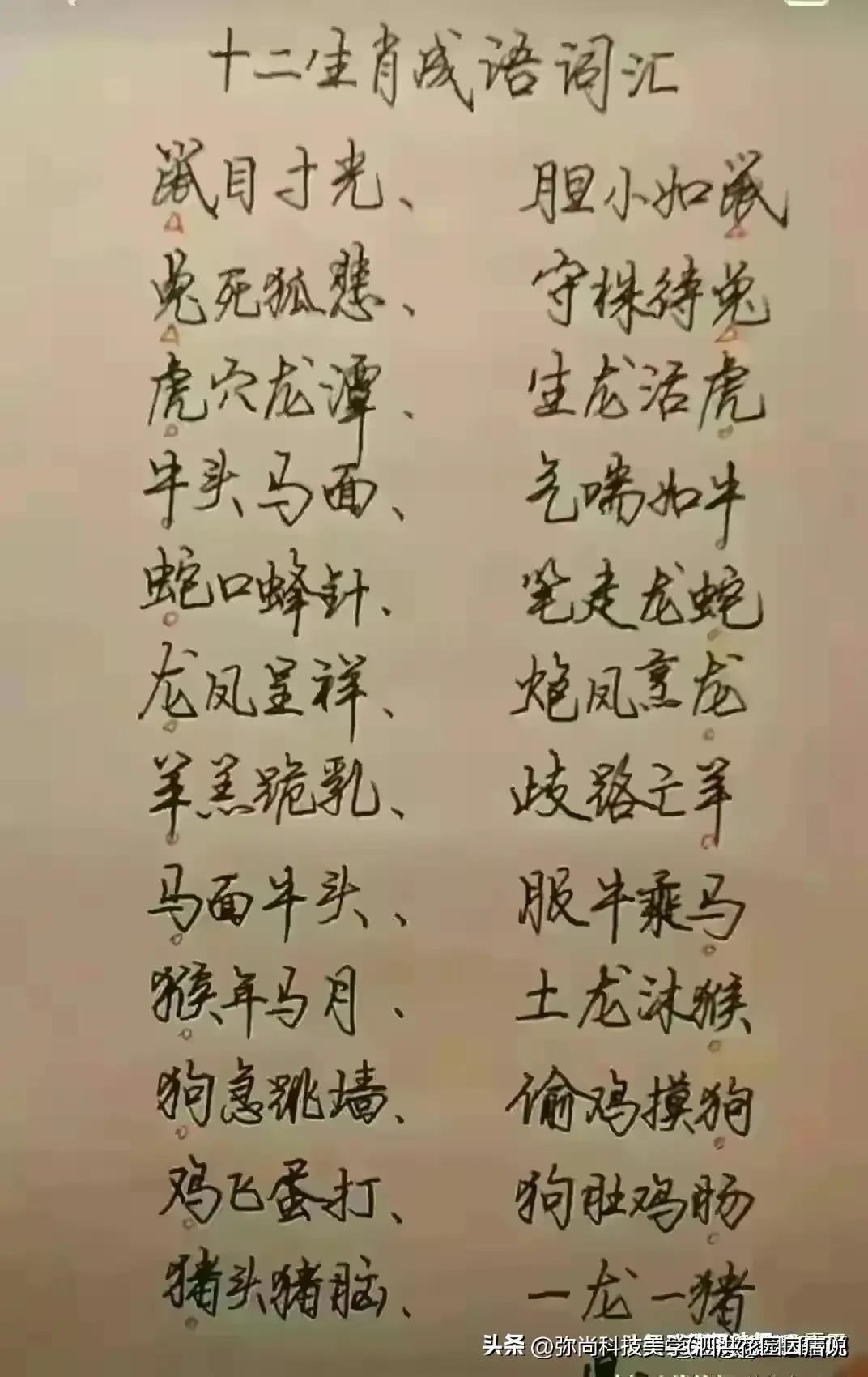 12生肖的性格特点，新型作答落实解释