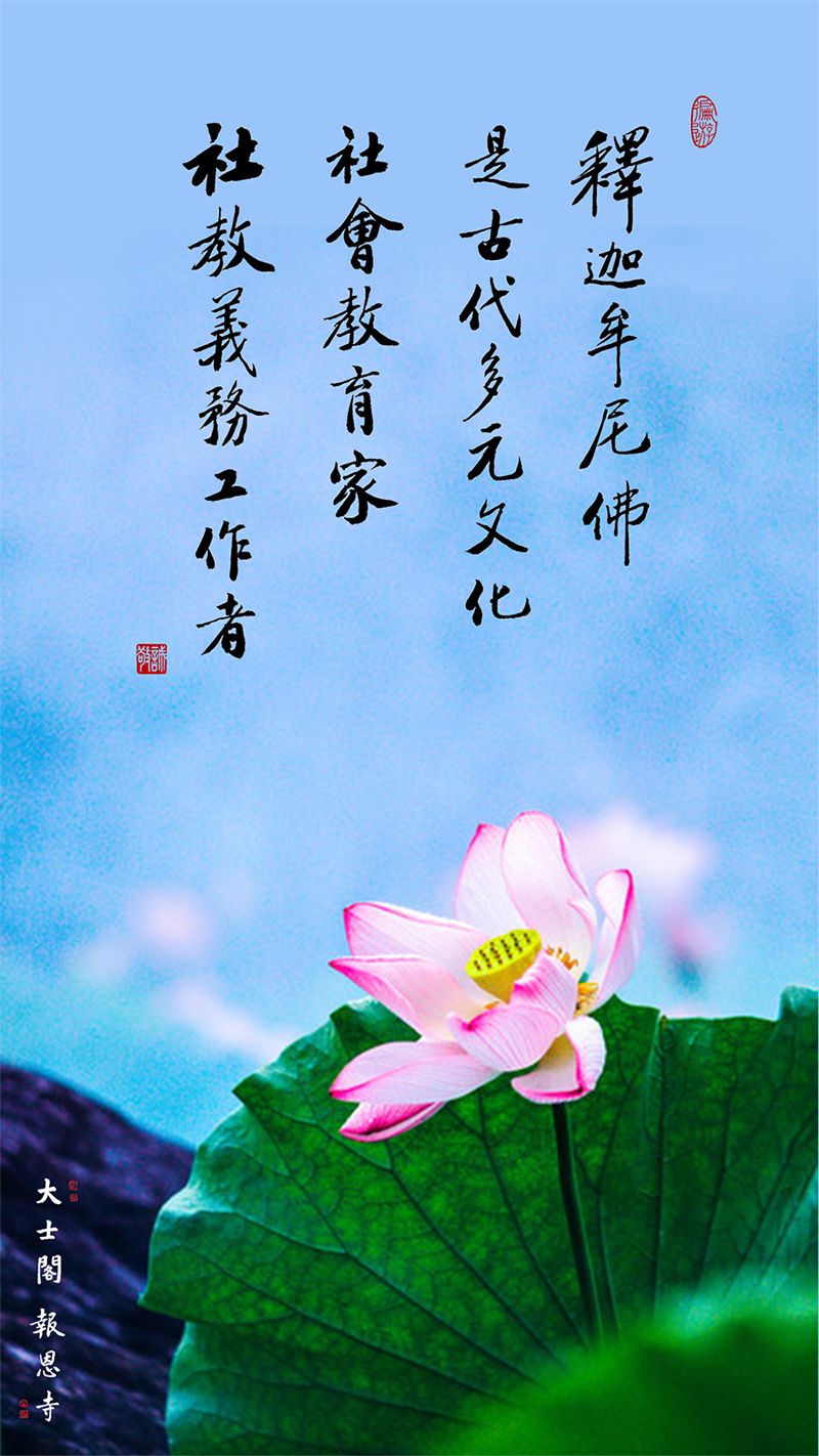 众生所归欢欢喜，生肖之谜的无限解释与落实