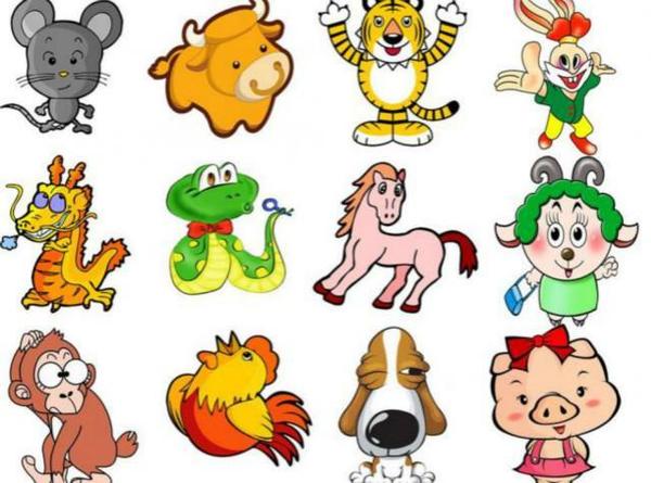 一生好胜的生肖，正确解释与落实