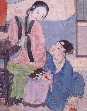 探秘三寸金莲背后的动物谜题，非凡解释与落实