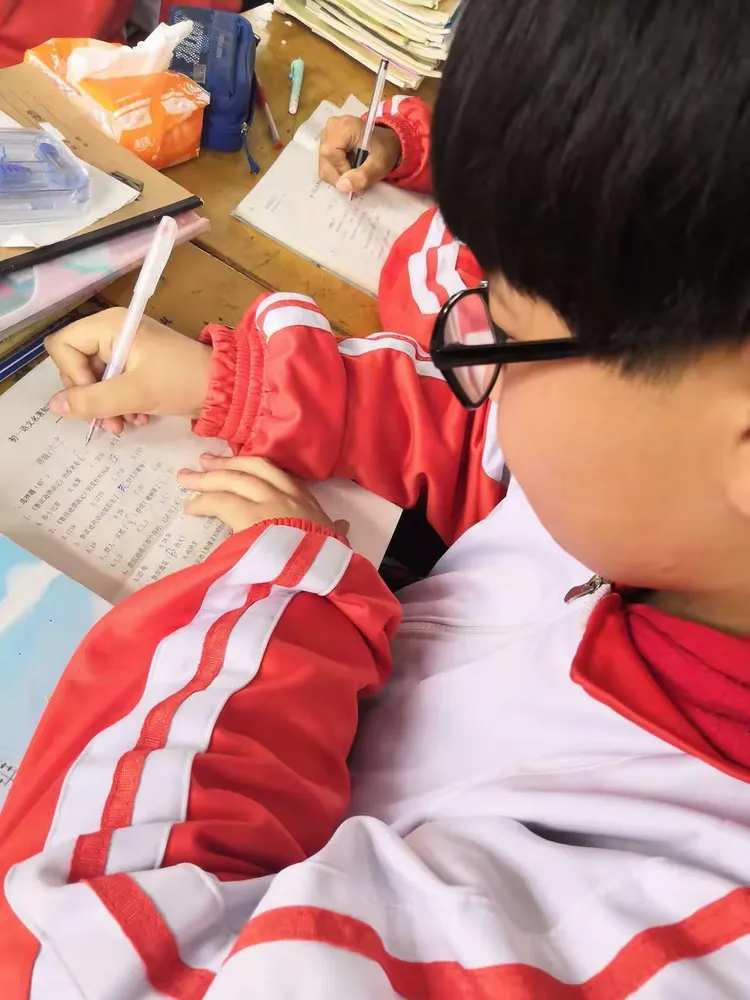 生肖猪今年多少岁，积极作答，落实解释