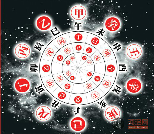 五行是什么生肖,团结解释落实 五行是什么生肖,团结解释落实