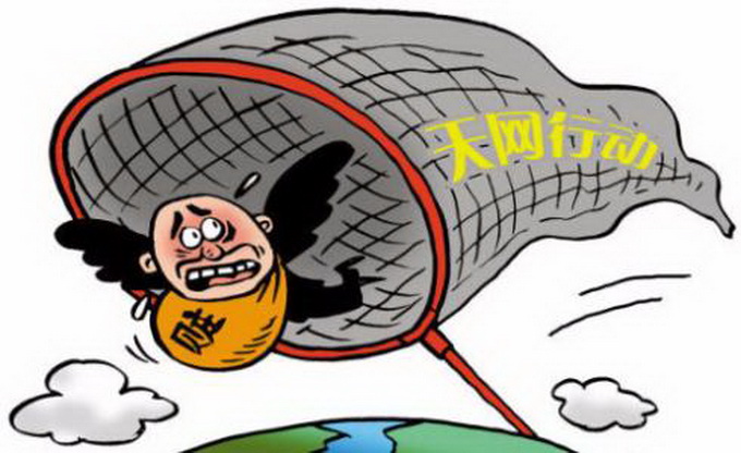 天网恢恢，谜底揭晓，探寻天网恢恢猜一生肖的智慧与寓意