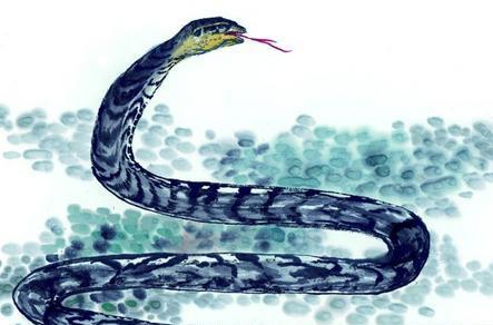 揭秘色迷心窍背后的生肖奥秘