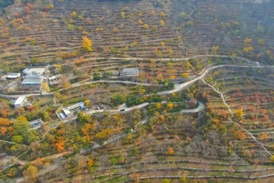 地肖有什么生肖，深度解析与落实