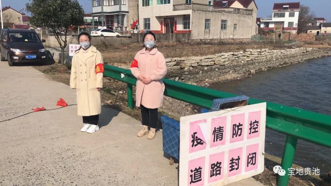 探秘风华正茂背后的动物谜底