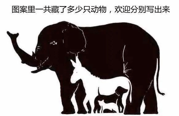 反败为胜，生肖动物中的智慧与坚韧—以兔为例