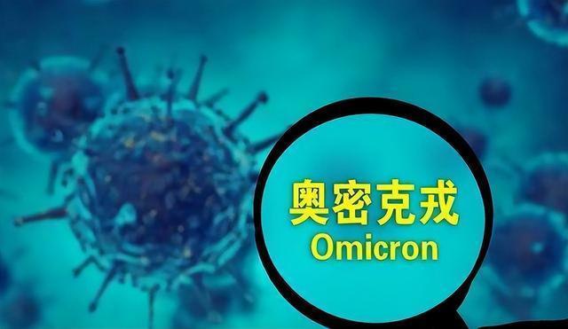 济公是什么生肖，网络解释的落实