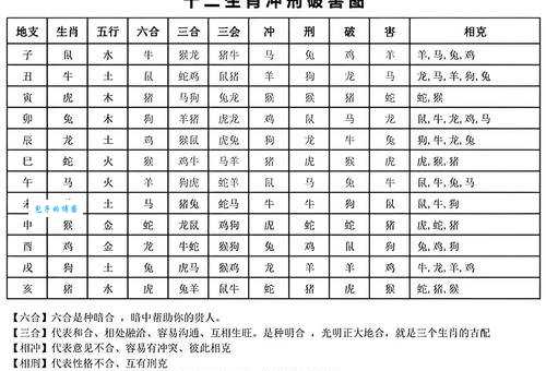 鬼头鬼脑打一正确生肖，结论作答落实解释