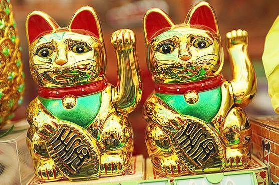 力挽狂澜是什么生肖，正确解释与落实