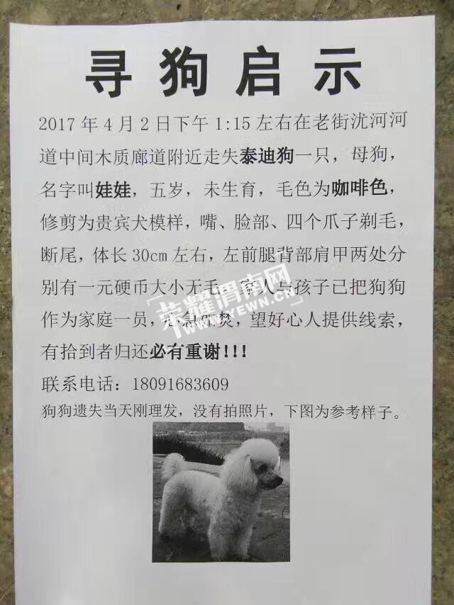 心急如焚的生肖谜题，揭秘答案的那一刻