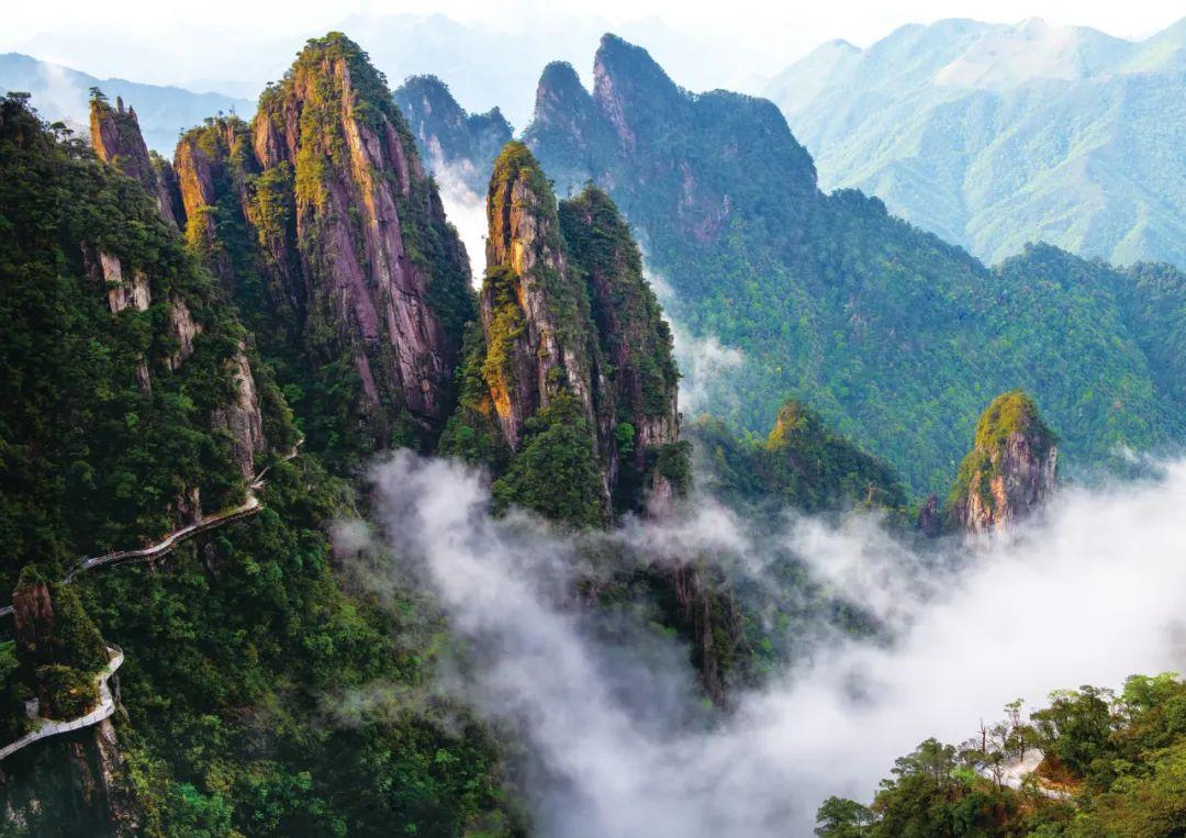 日落西山代表猜一动物，的动物智慧与战略运用