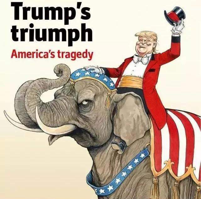 揭秘按兵不动背后的生肖奥秘，深度解析与文化寓意